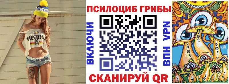 Купить закладки  Катайск  Галлюциногенные грибы мухоморы 